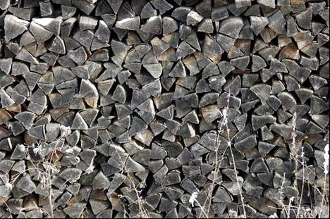 Вот, купил себе лесок