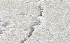 Рули в объезд 