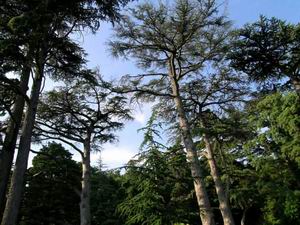 А природу нужно беречь!..