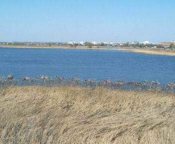 Зеленый прокурорский патруль 