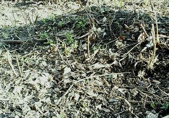 Всегда есть место рекорду