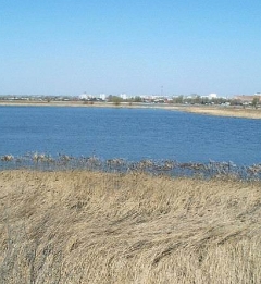 В "Птичей гавани" будет тесно