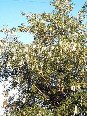 Тут и маска не спасет...