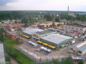 Пережить бы "естественный отбор"