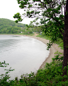 Омичи будут строить на Русском