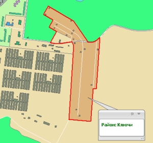 Тарифы снизим голодовкой