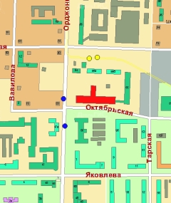 Городская детская клиническая больница №2 имени В. П. Бисяриной в ДубльГИСе