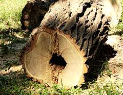 (С) www.new-most.info