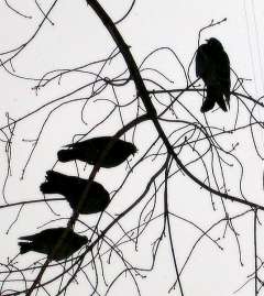 А вышло все наоборот