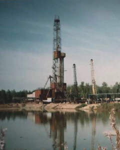 Крапивинское месторождение