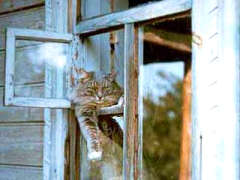 (С) zastroischik.ru