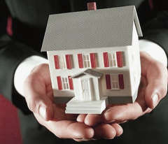 Подобрали, обогрели