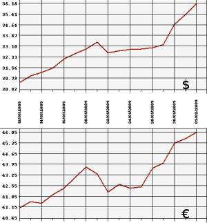 ЦБ РФ доллар, евро, 03.01.09 - 03.02.09