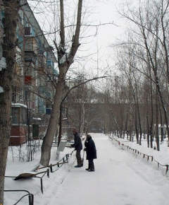 Омские дворники