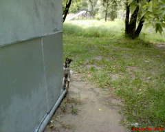 Гаражу на стоянке не место