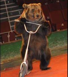 (с) circus.omskcity.com