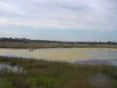 Природный парк "Птичья гавань"