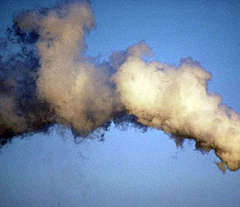 И без спроса, и бесплатно