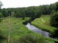 Нельзя его... Он федеральный