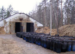 (С) gallery.informpskov.ru