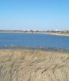 Природный парк "Птичья гавань"