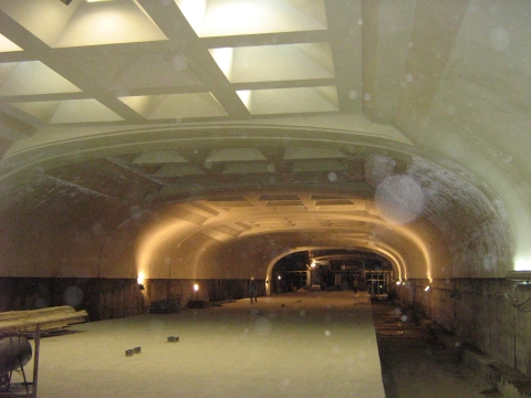 станция Библиотека им. Пушкина