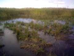 Из восьми один молодец