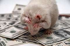 Почти банкроту верните деньги