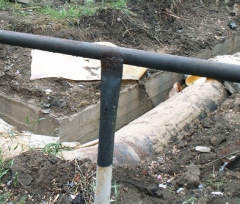 Открытая Омская Фотогалерея