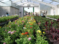 Садовый центр