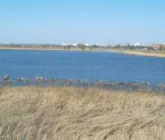 Птичья гавань