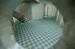 Арендовали по-сеседству