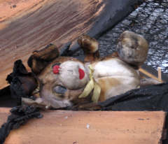 Уделите время пропаганде