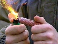 Проверка прокуратуры