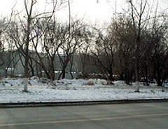 (С) Открытая Омская Фотогалерея