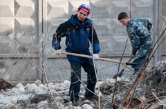 Готовим лопаты и грабли