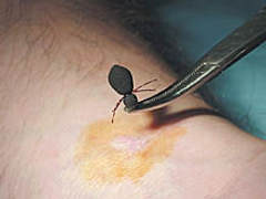 (С) www.interfax.by