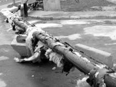 (С) www.karavan.tver.ru