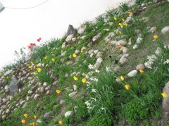 (C) Омский портал недвижимости