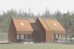 Поощрительная премия "Дом XXI века-2009"