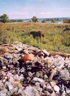 (c) kizhi.karelia.ru