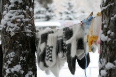 Практически некого похвалить