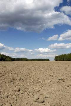 Разной площади и на любые цели