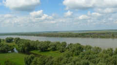 За лучший эскиз и заботу об экологии