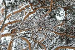 Последними "оттают" должники