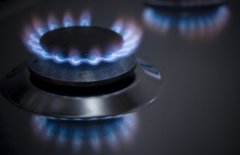 Потянуло за добычей