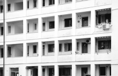 Ценам приказали замереть