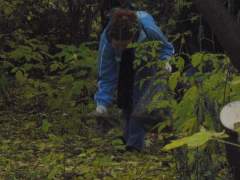 Омский октябрьский месячник по благоустройству территорий