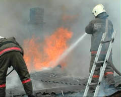 Пожары в Омской области