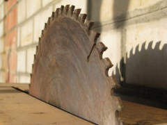 аренда земли в Омской области для заготовки древесины